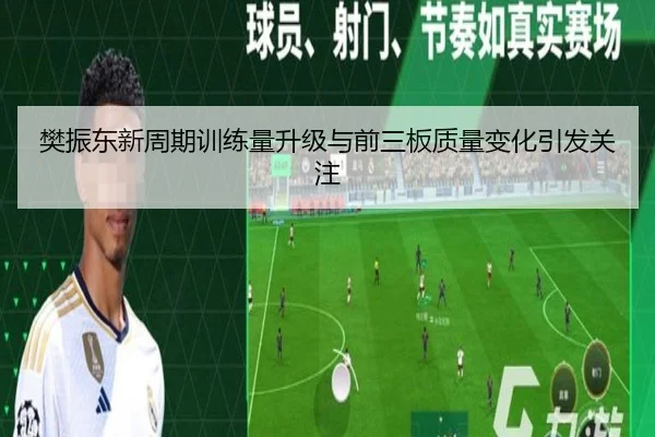 樊振东新周期训练量升级与前三板质量变化引发关注